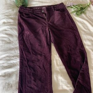 Purple straight Leg Corduroy pants - Size 12
